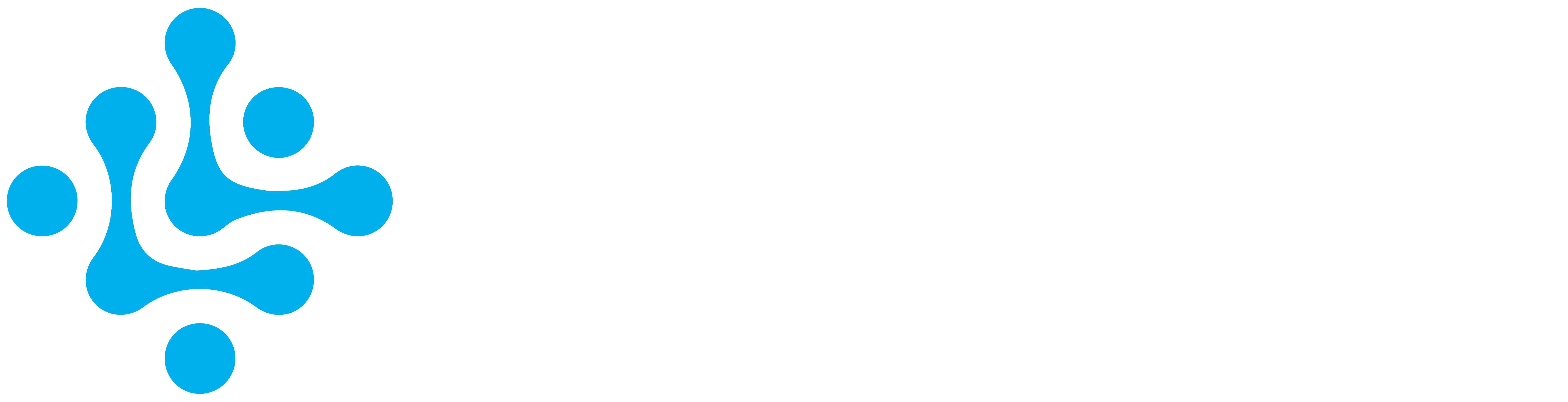 luttus.com